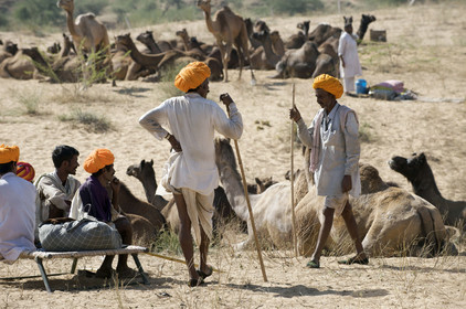 Inde, Pushkar