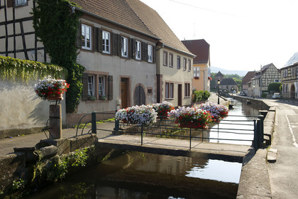 France, Wissembourg