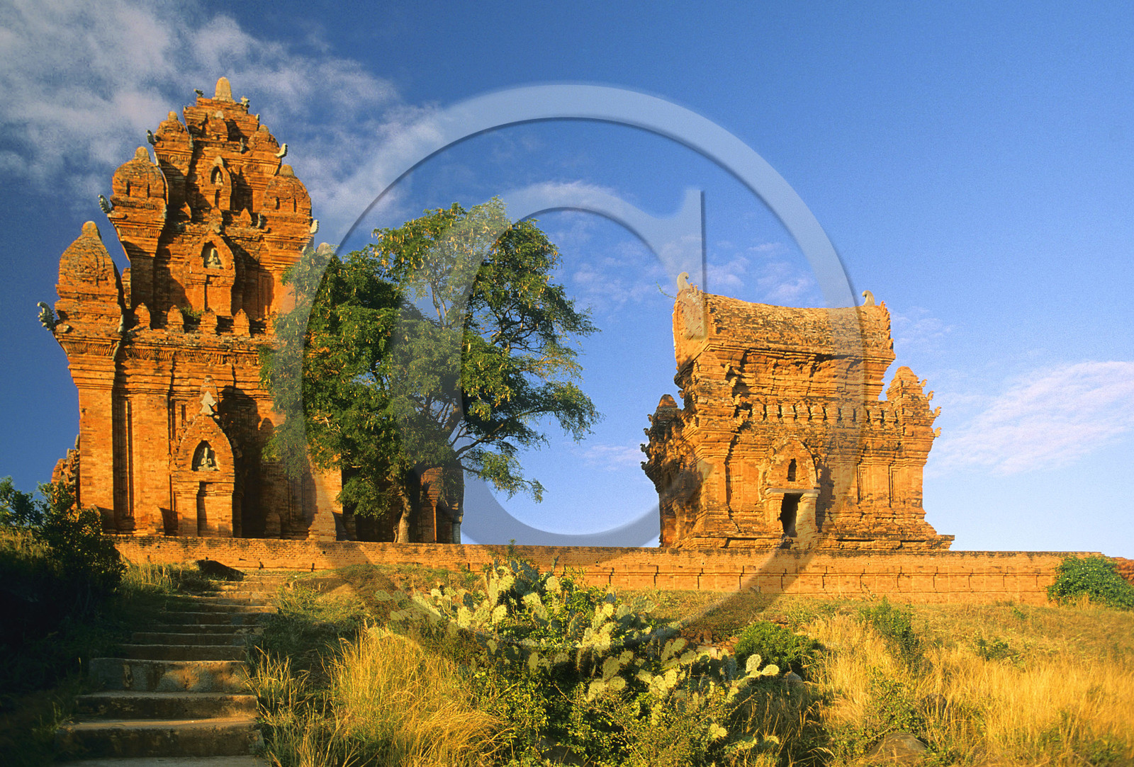 Po Klong Garai, Vietnam