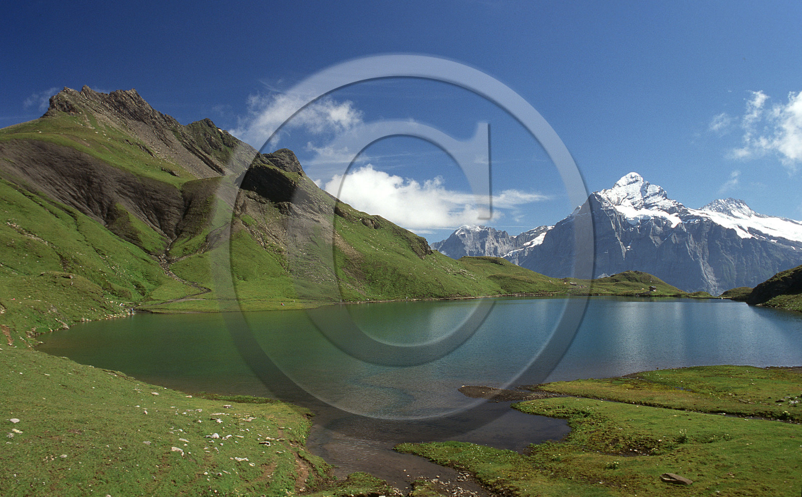BACHALPSEE.BERNER OBERLAND.SUISSE
