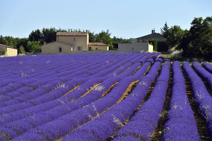 France, Simiane la Rotonde