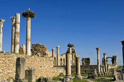 Volubilis, Morokko