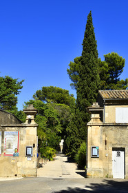 France, Saint Remy de Provence
