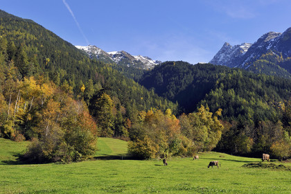 Autriche, Tyrol