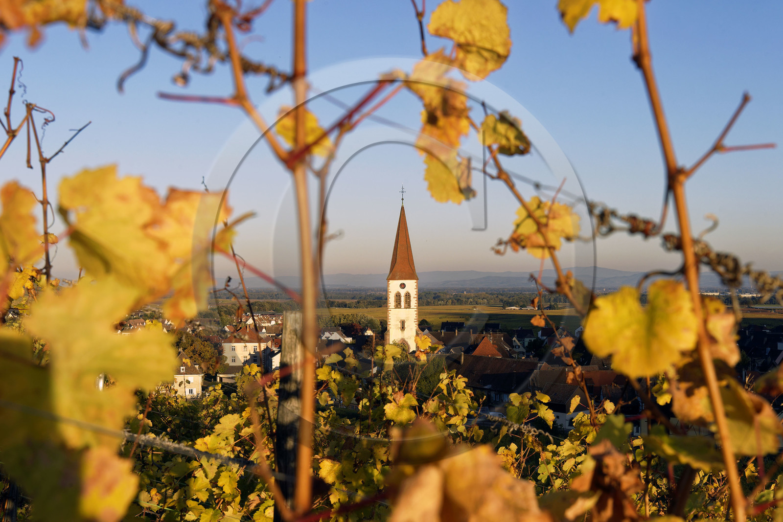 France, Ammerschwihr