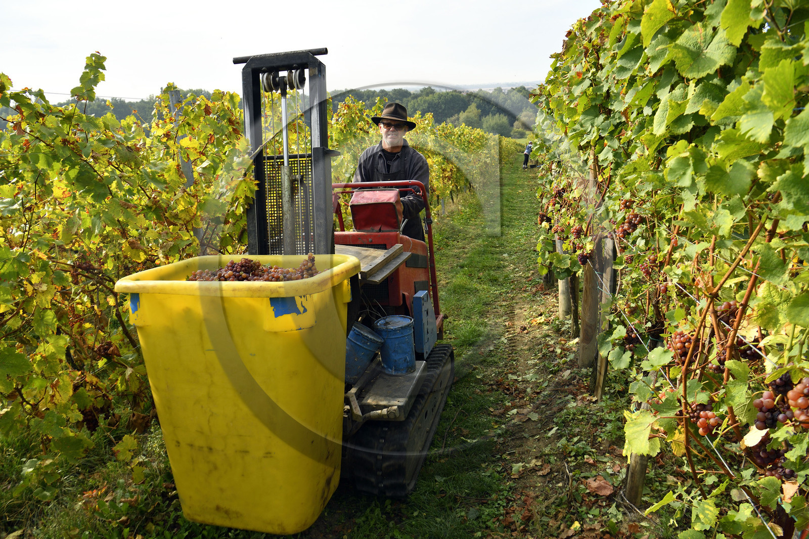 France, Dambach la Ville