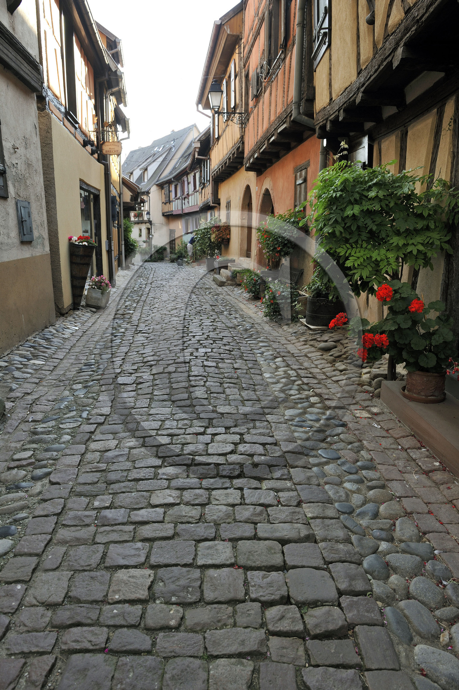 France, Eguisheim