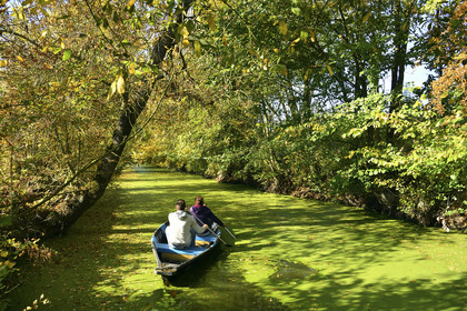France, Marais Poitevin