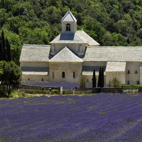 France, Senanque