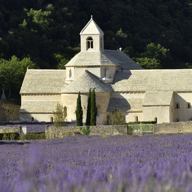 France, Senanque