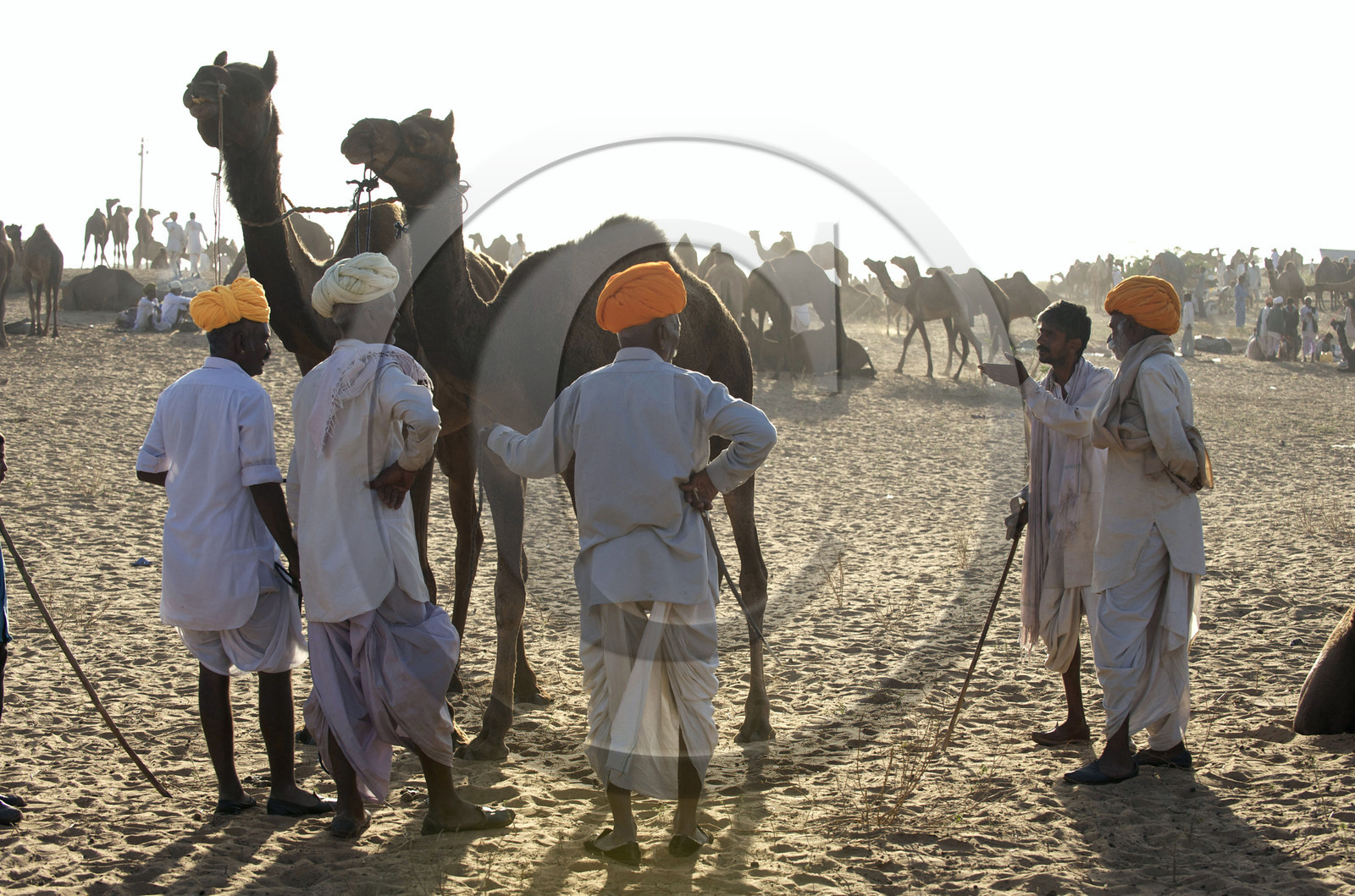 Inde, Pushkar