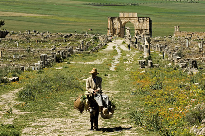 Volubilis, Morokko