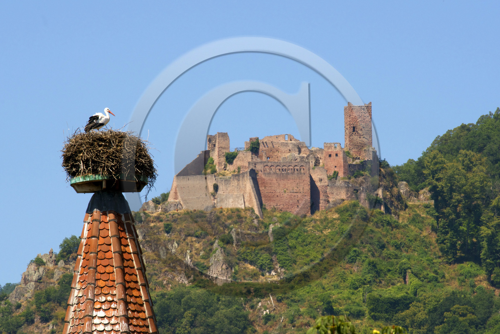 France,  Ribeauville