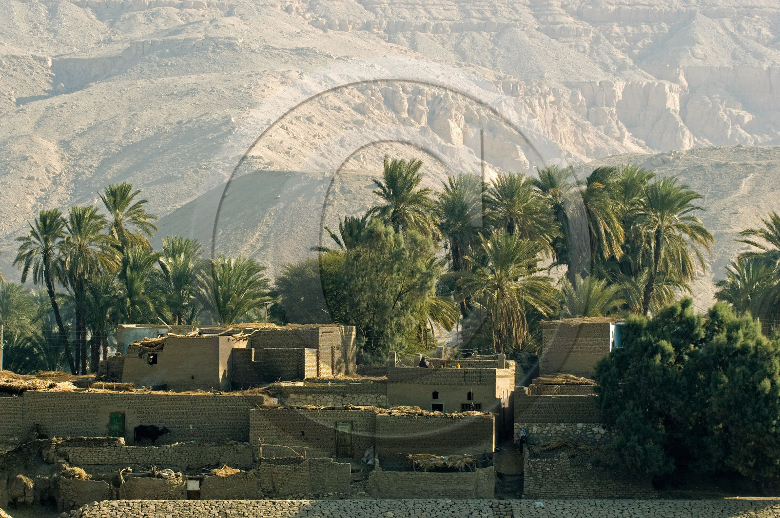 Egypte, Vallée du Nil