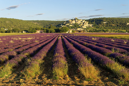 France, Simiane la Rotonde