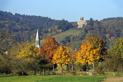 France, Kintzheim