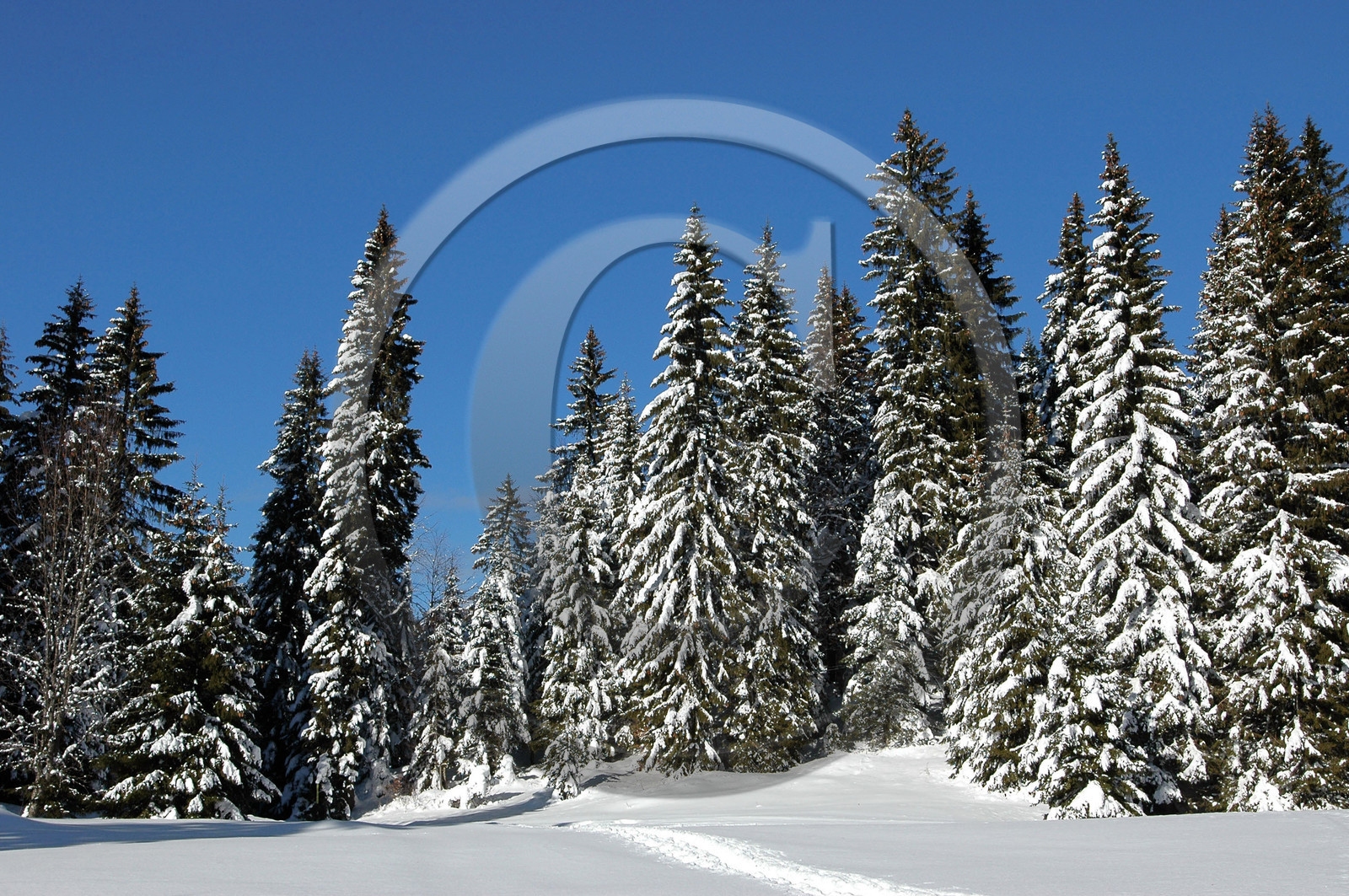 Franche-Comte, France