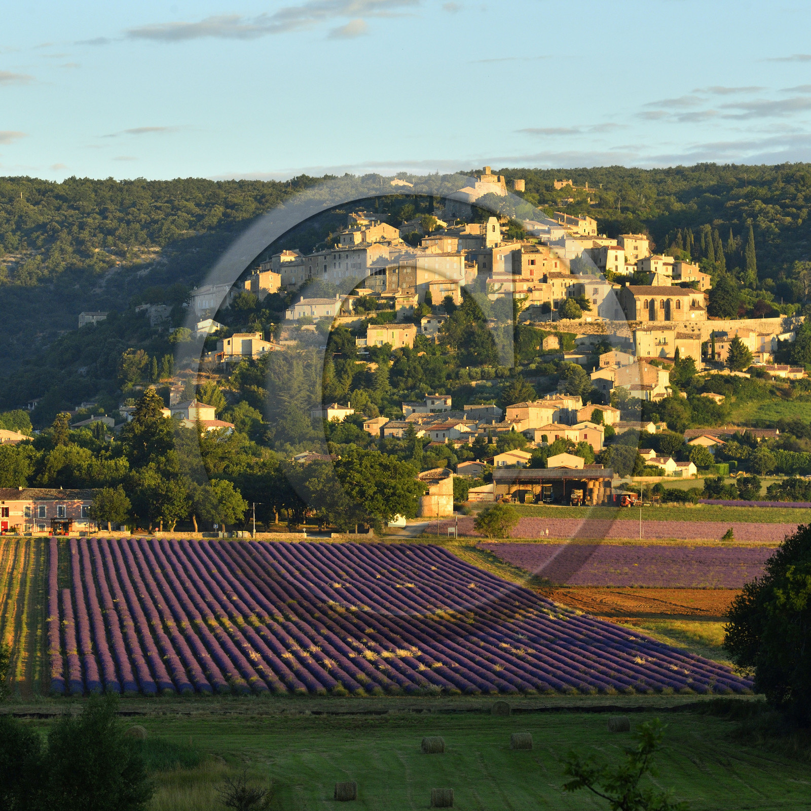France, Simiane la Rotonde