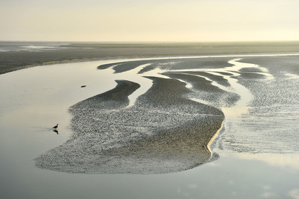 France, Baie de Somme