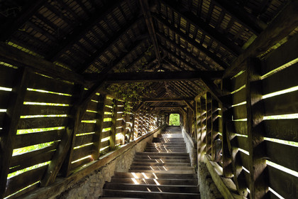Roumanie, Sighisoara