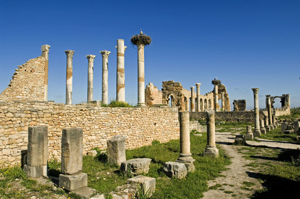 Volubilis, Morokko