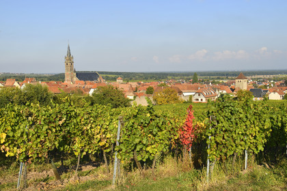 France, Dambach la Ville