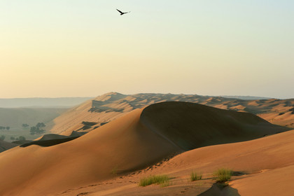 Oman, Wahiba sands