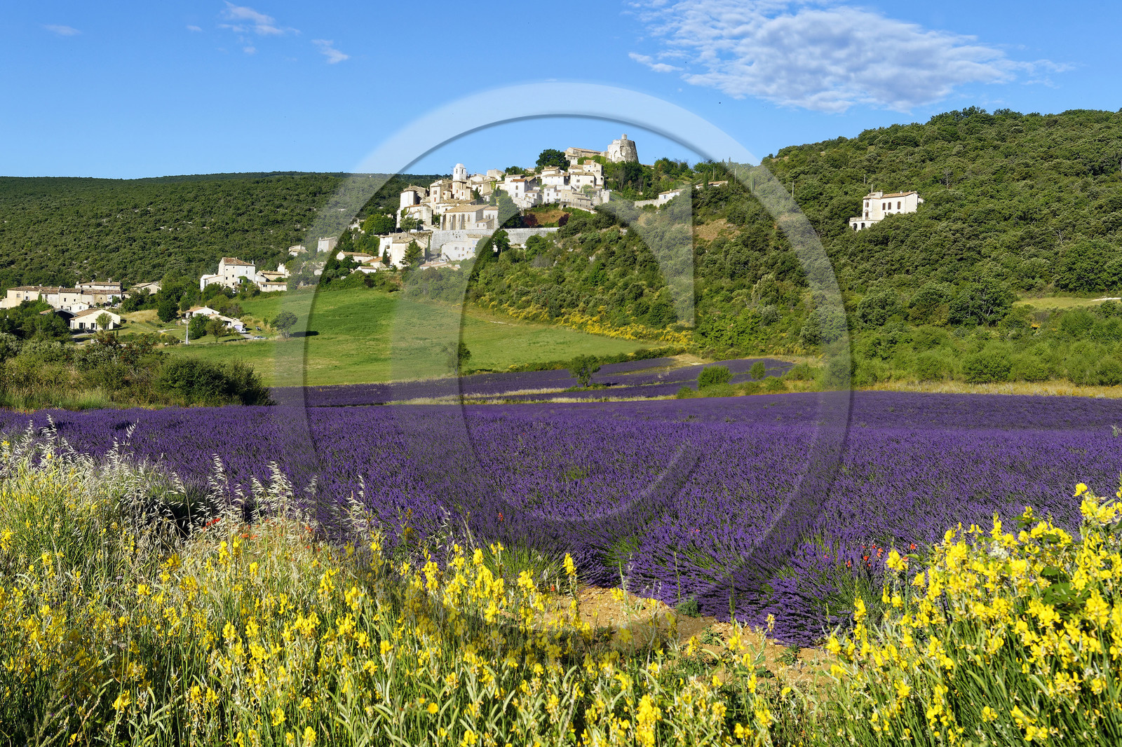 France, Simiane la Rotonde