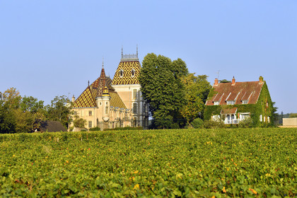 France, Bourgogne