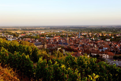 France, Obernai