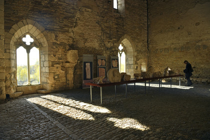 France, Marais Poitevin
