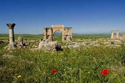 Volubilis, Morokko