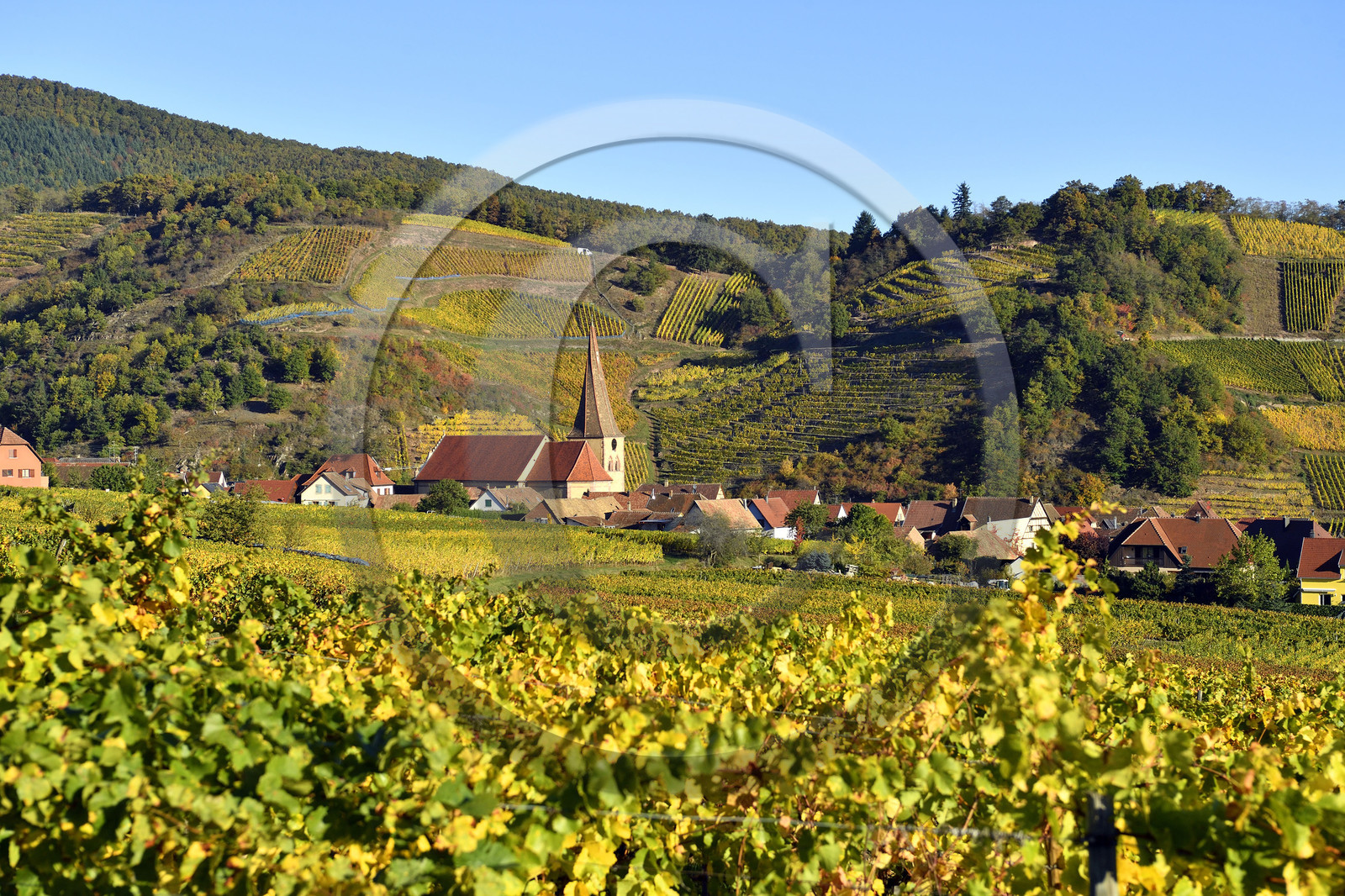 France, Niedermorschwihr