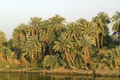 Egypte, Vallée du Nil