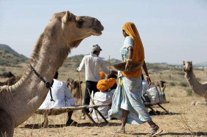 Inde, Pushkar