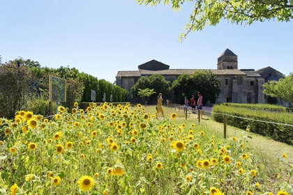 France, Saint Remy de Provence