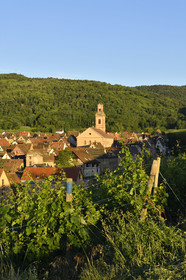France, Riquewihr