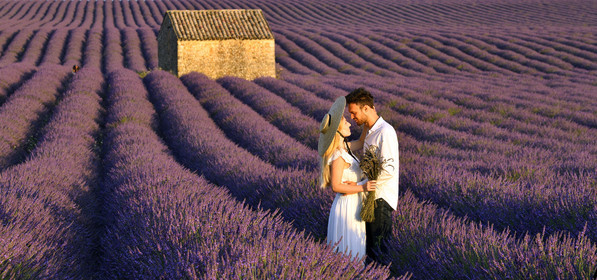 France, Valensole