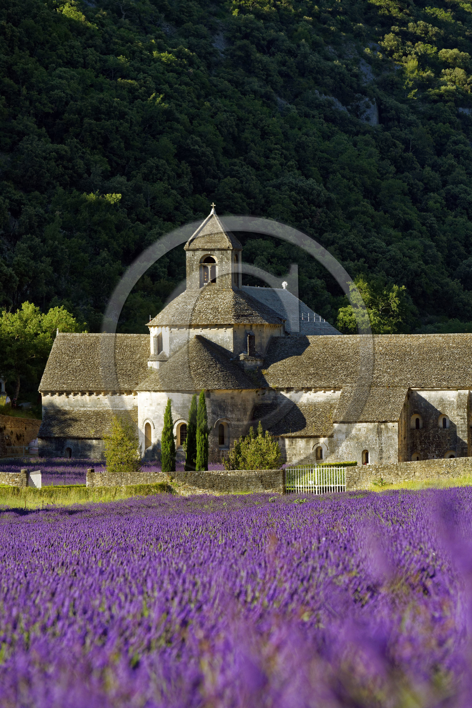 France, Senanque
