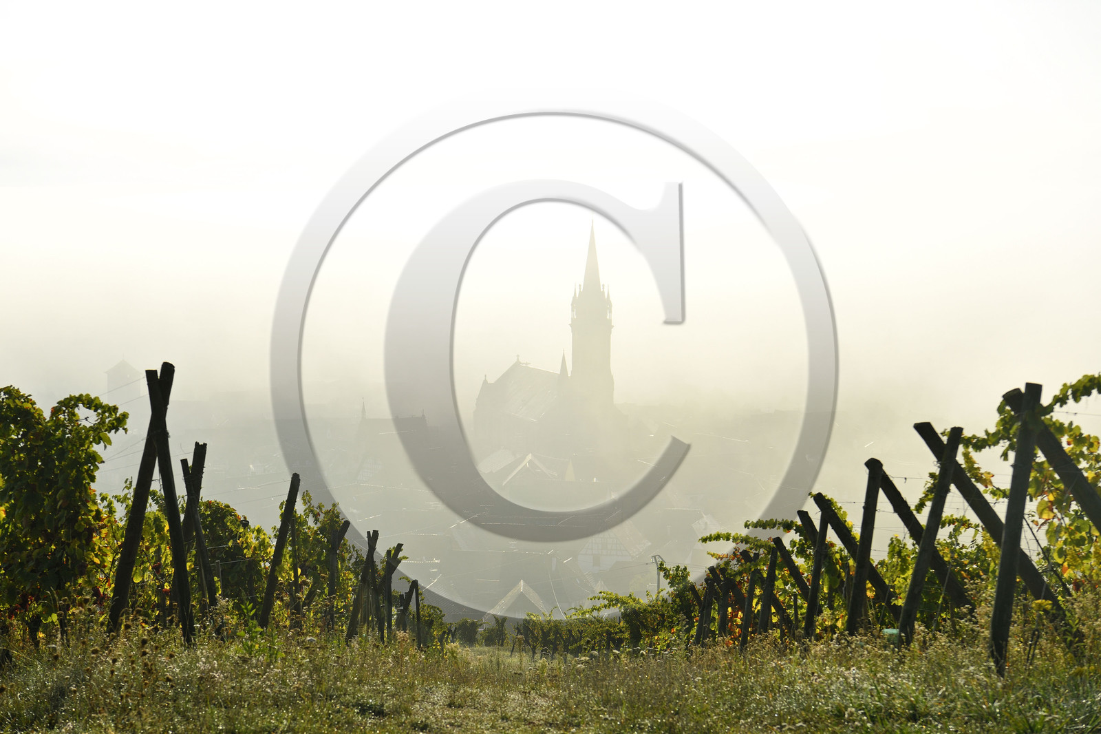 France, Dambach la Ville