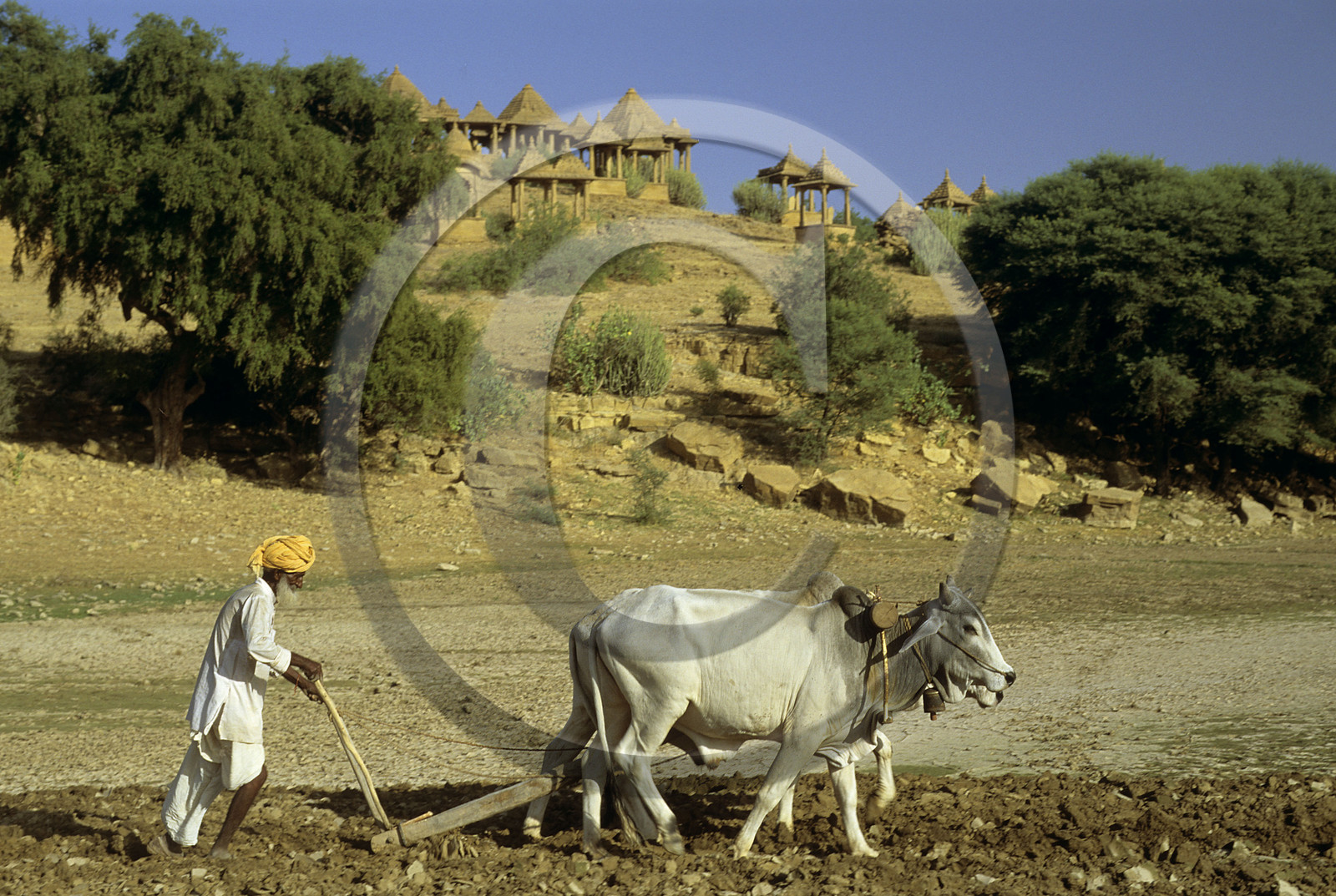 Jaisalmaler, Rajasthan, Inde
