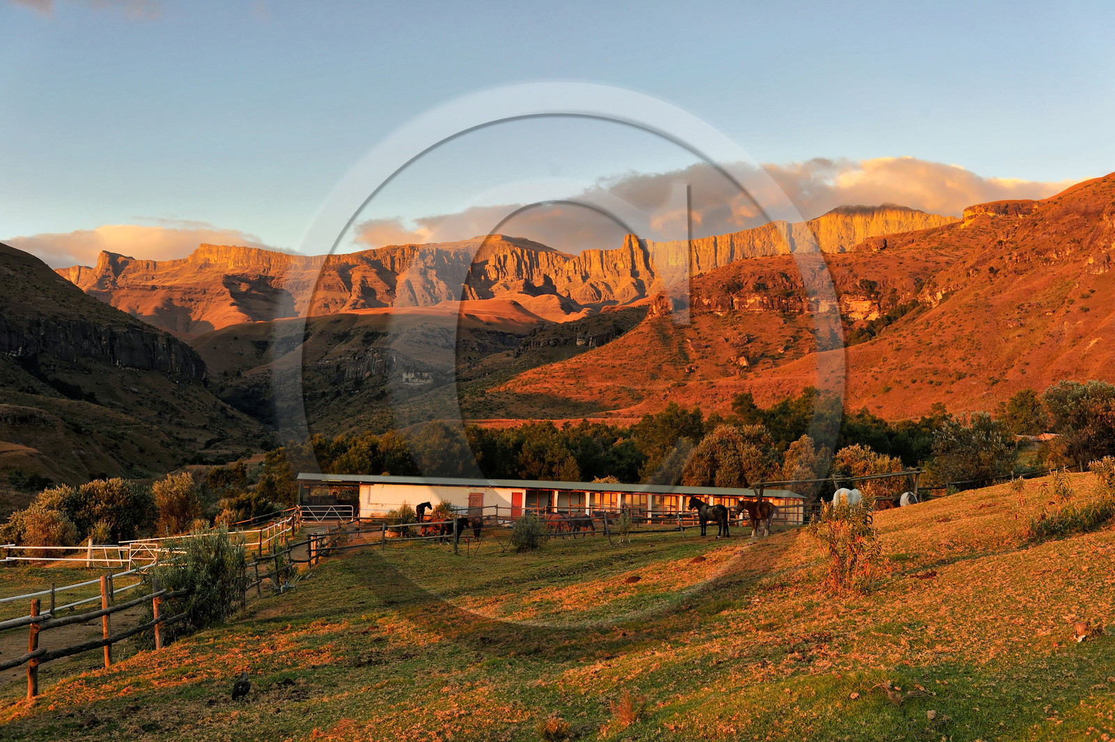 AFS, Drakensberg