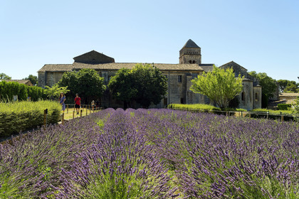 France, Saint Remy de Provence