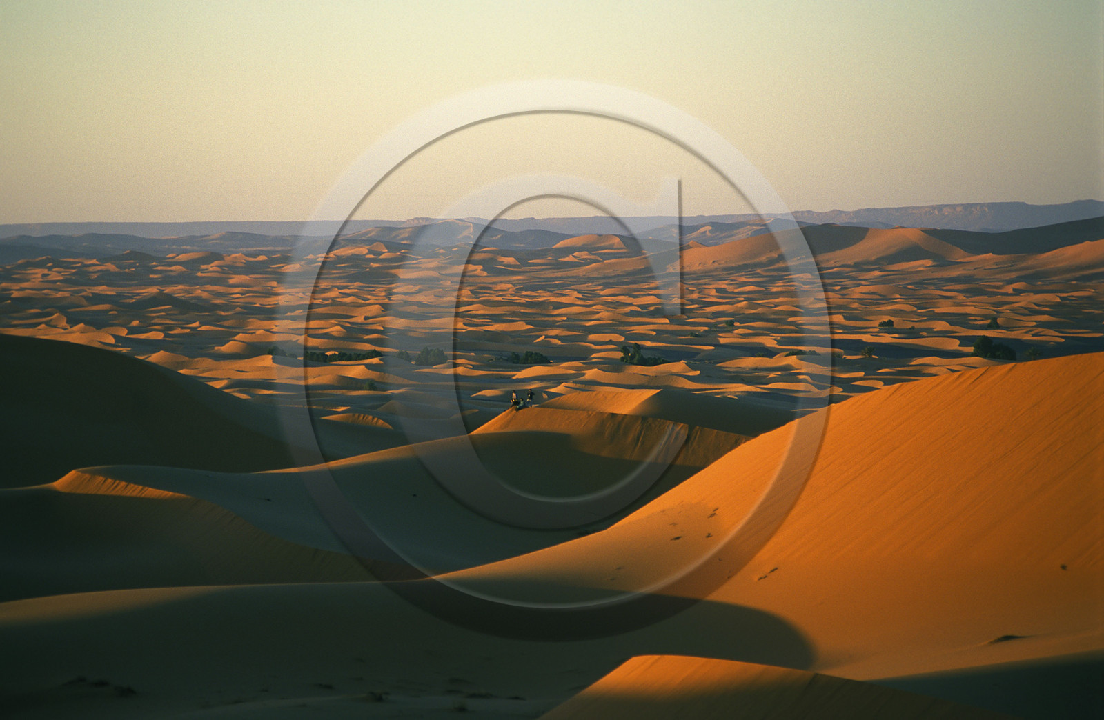 MAROC SUD   MERZOUGA.ERG CHERBI