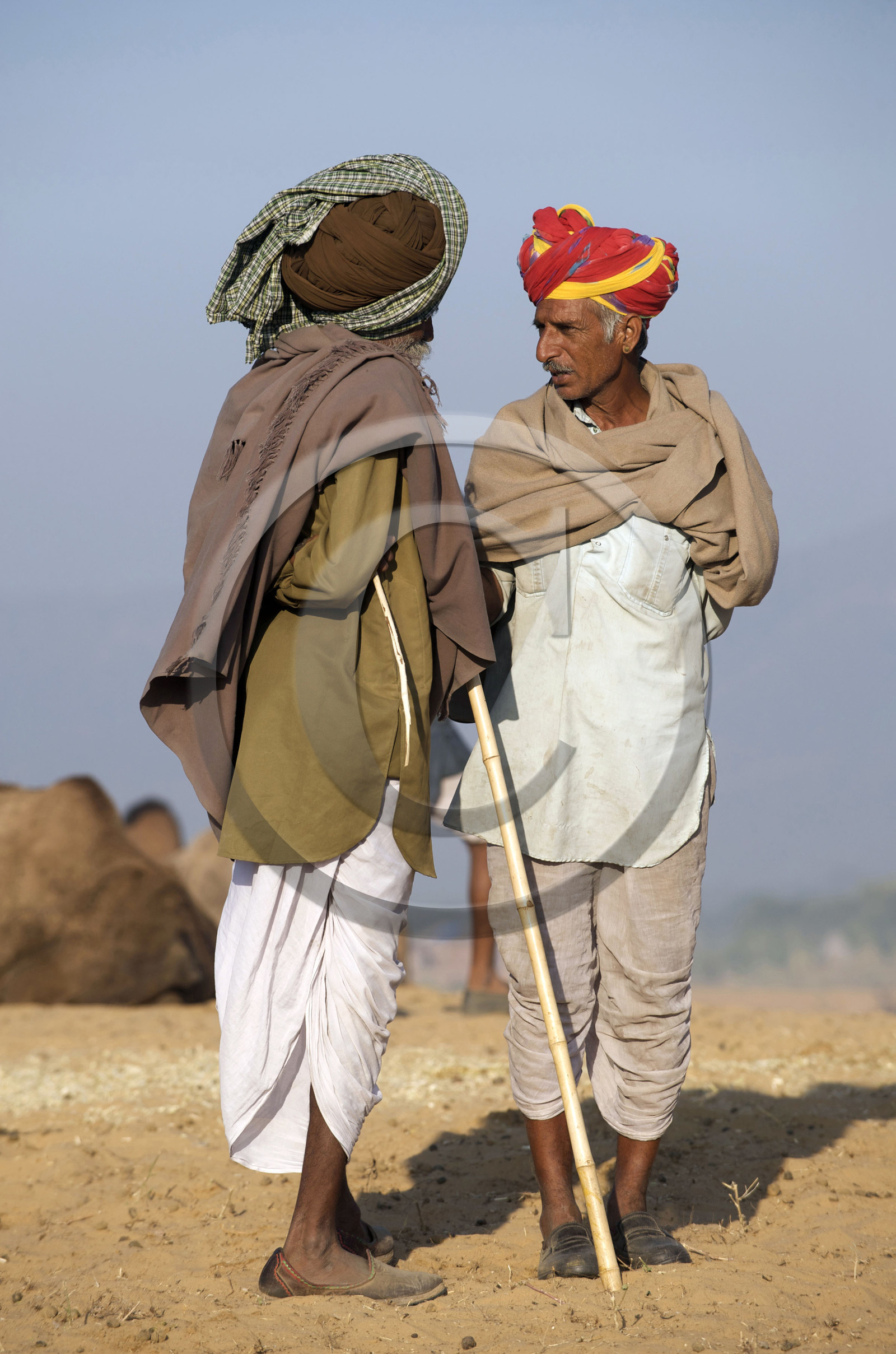 Inde, Pushkar