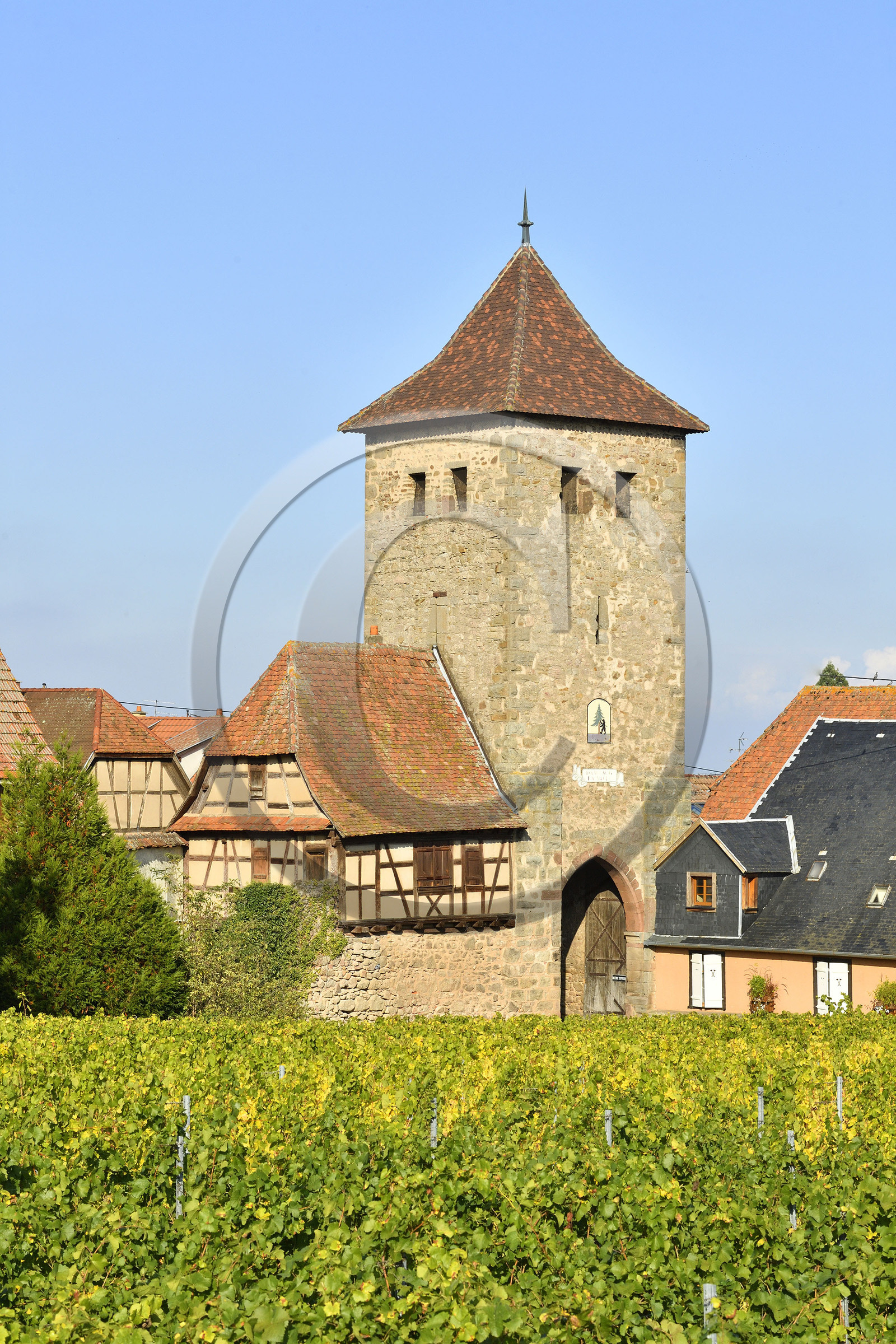 France, Dambach la Ville