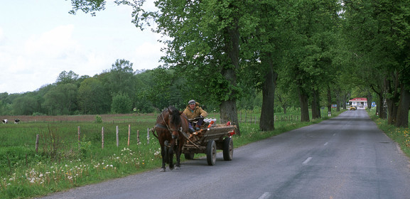 Lituanie, Pays Baltes