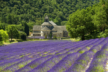 France, Senanque