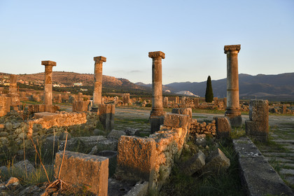 Maroc, Volubilis