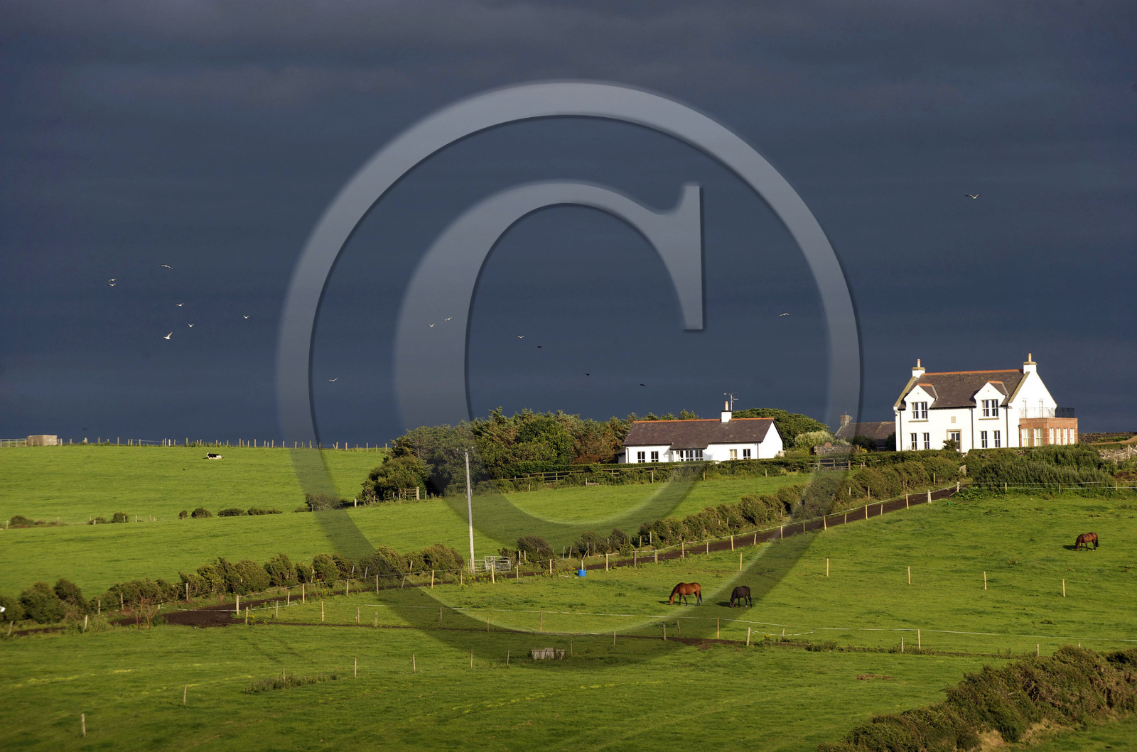 Ulster, Antrim Coast